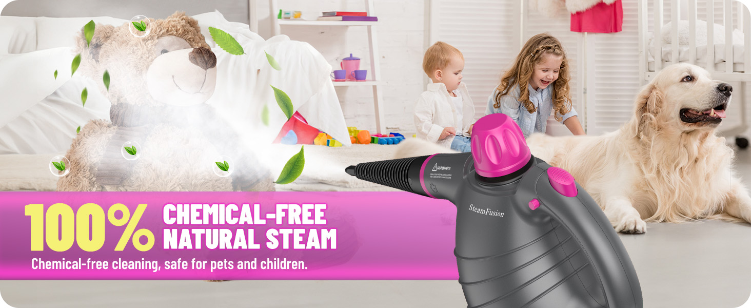 steamer for car detailing