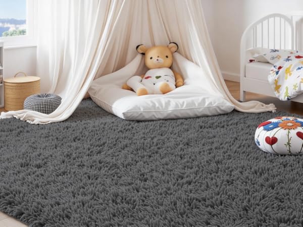 Area Rugs for Living Room Rug
