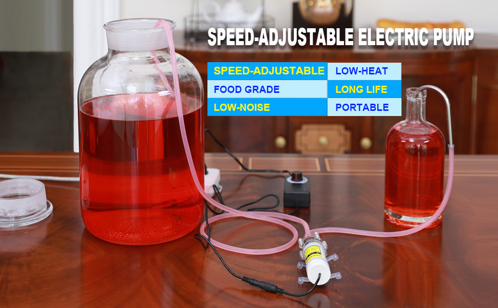 speed adjustable electric pump