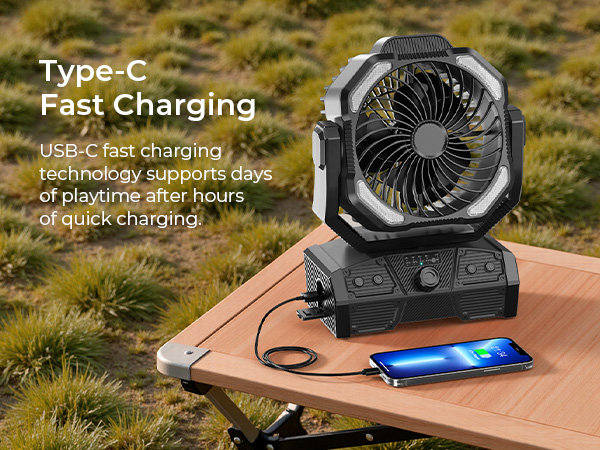 Portable fan
