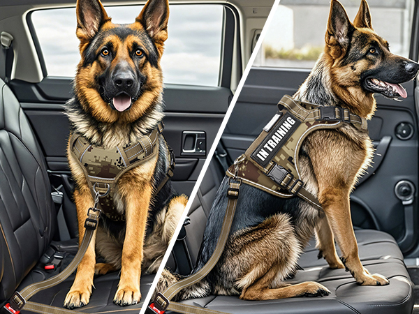 dog car harness b camo desert