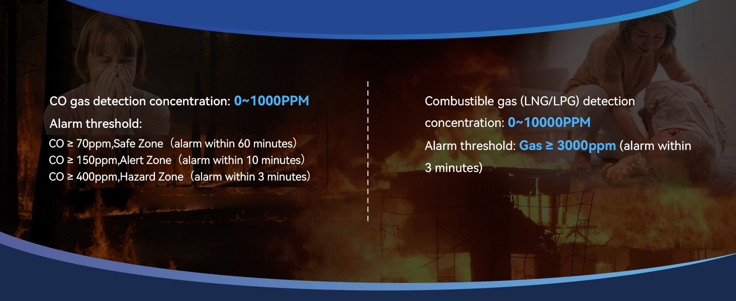 gas and carbon monoxide detector