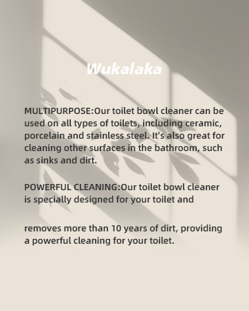 Toilet Cleaning