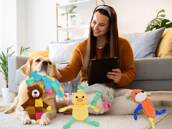 dog toys for aggressive chewers
