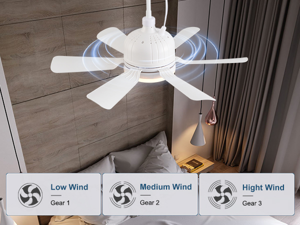 Ceiling Fans with Lights