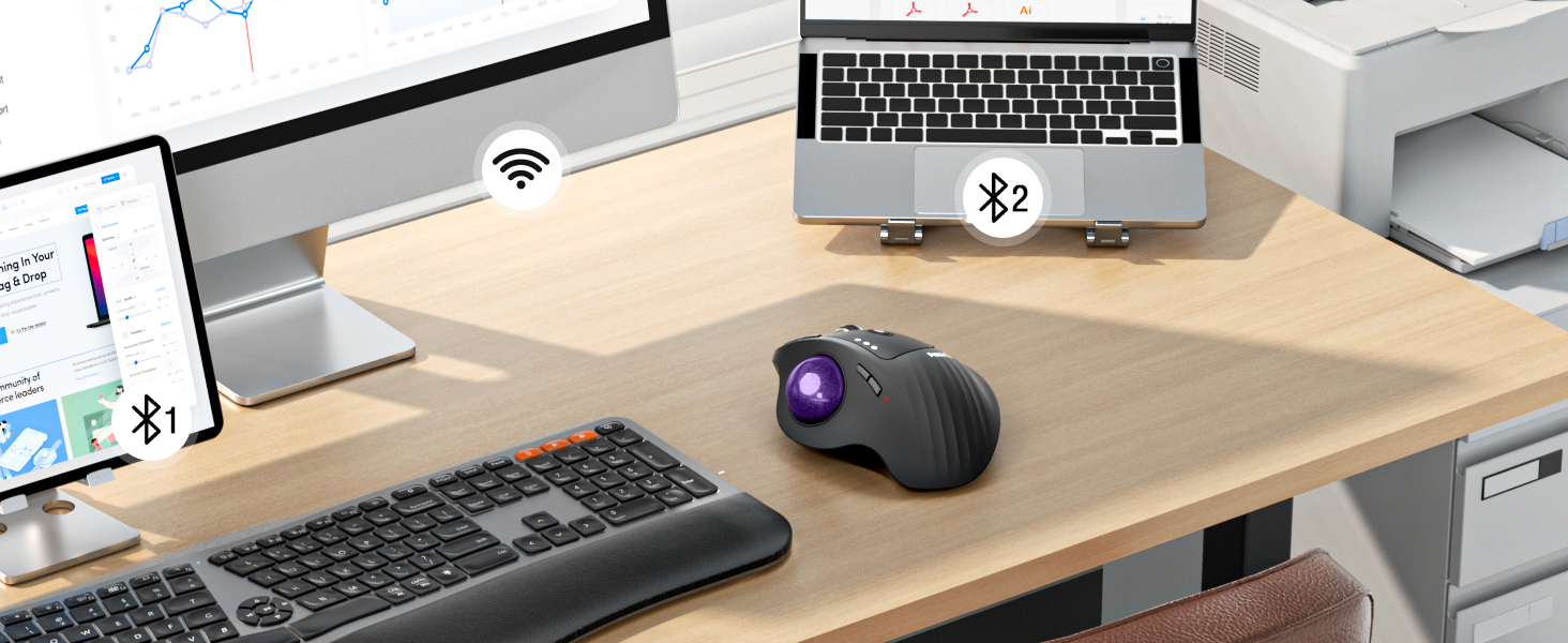 EM01 NL Ergonomic Trackball Mouse