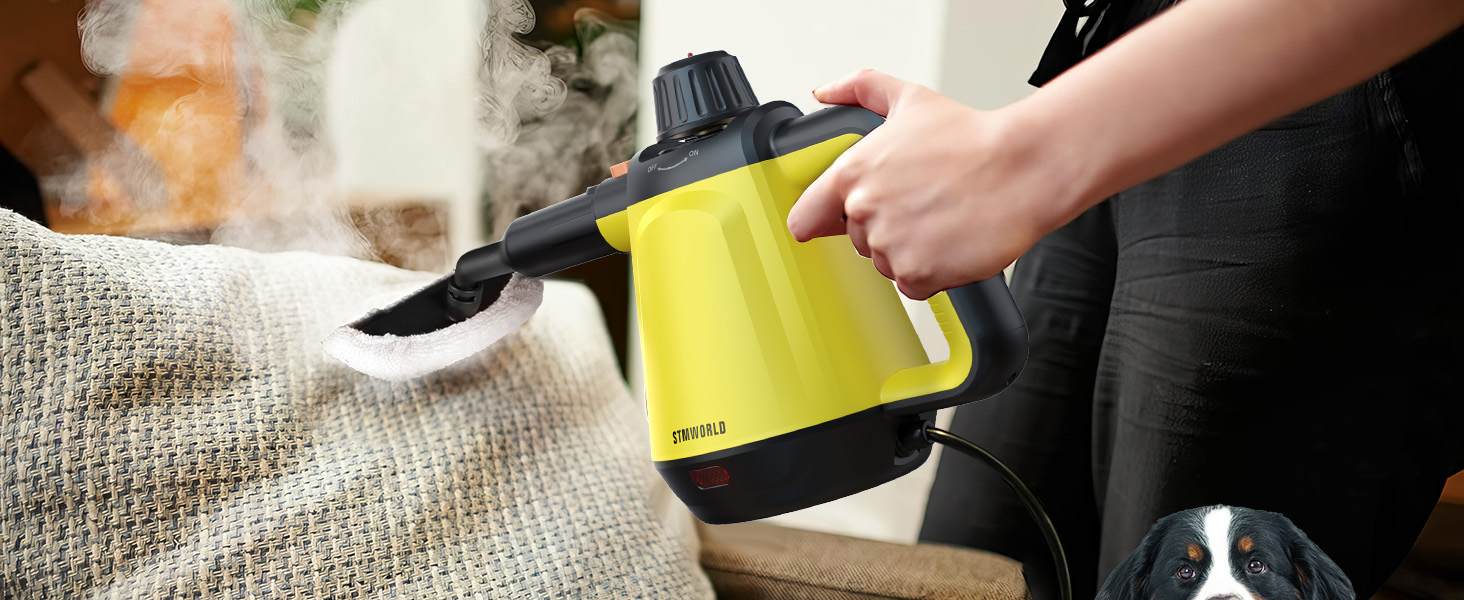 steam cleaner