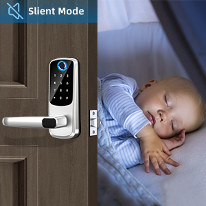 smart lock with handle