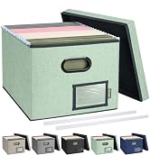 BALEINE File Organizer Box with Lid, Collapsible File Folder Organizer with Plastic Slide, Filing...