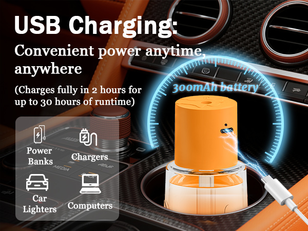 USB Charging