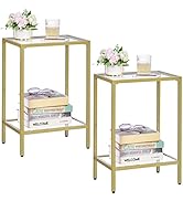 HOMSHO Side Tables Set of 2, End Tables with Tempered Glass, 2-Tier Nightstands with Storage Shel...