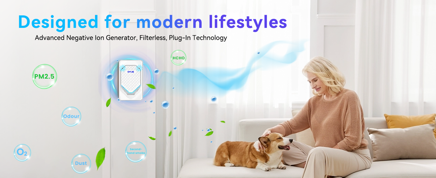 Air Ionizer Plug In