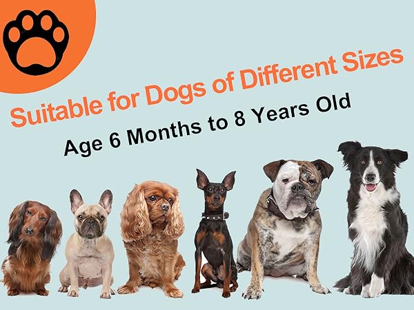 bark deterrent device