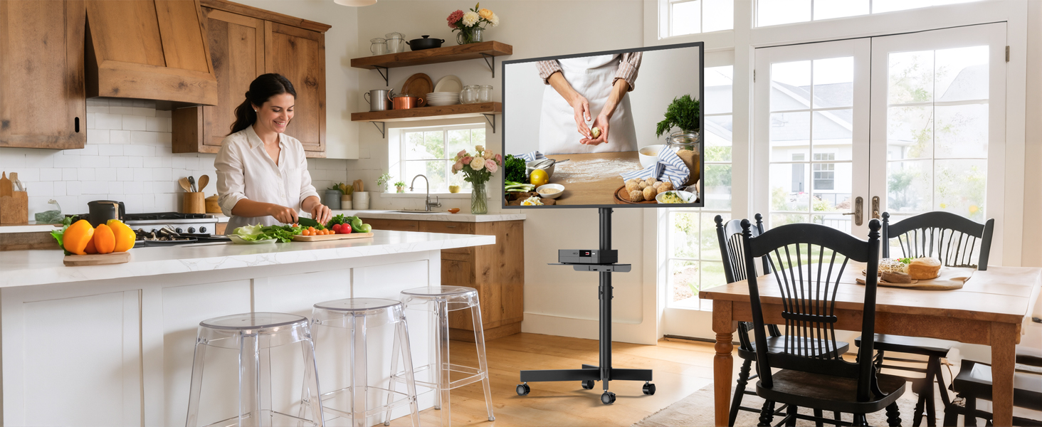 Mobile TV Stand