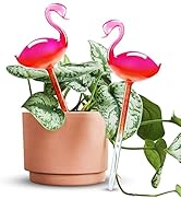 Self-Watering Glass Globes 2PCS Flamingo Gradient Hot Pink 10" Long Hand Blown Bulbs Pot Plant Wa...