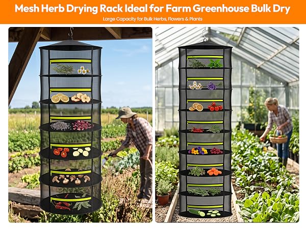 Large capacity hanging dryer for farm greenhouse bulk plant drying