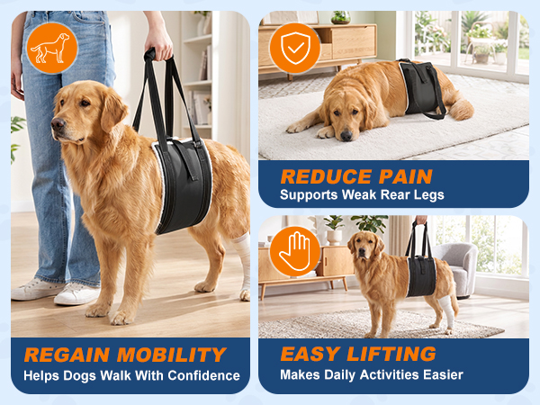 dog harness medium sized dog