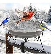 Jvgoo Heated Bird Bath for Deck Railing, Powerful 100W Thermostatically Controlled Heated Bird Ba...