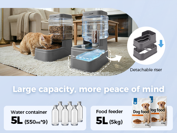 cat feeder grey22