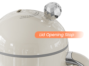 Lid Opening Stop