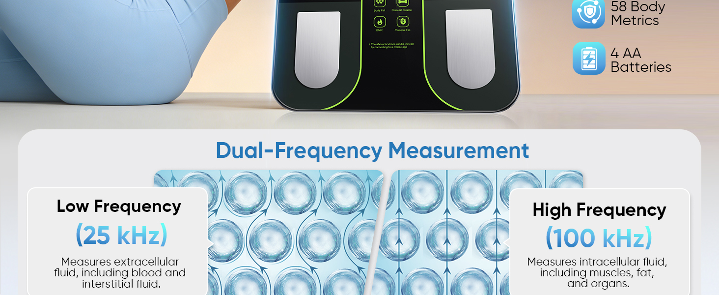 scale for body weight