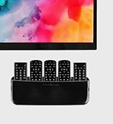 Total Mount Remote Holder