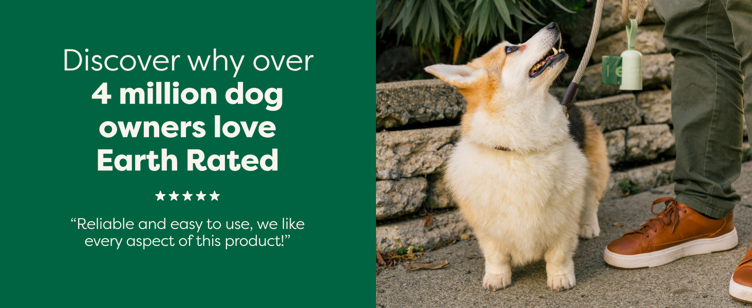 New puppy essentials must haves for potty training and daily dog walking accessories for owners