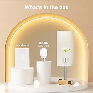 fenmzee touch lamp package