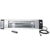 Dr Infrared Heater Carbon Infrared Patio Heater, Indoor and Outdoor (120V / 1500W, Silver)