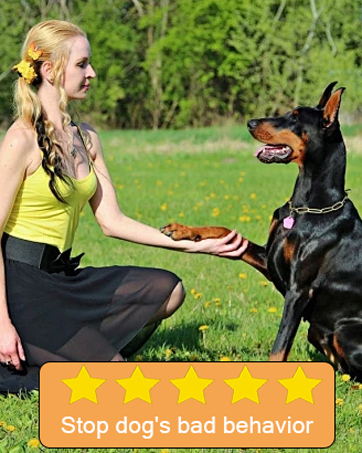 anti barking device for dogs