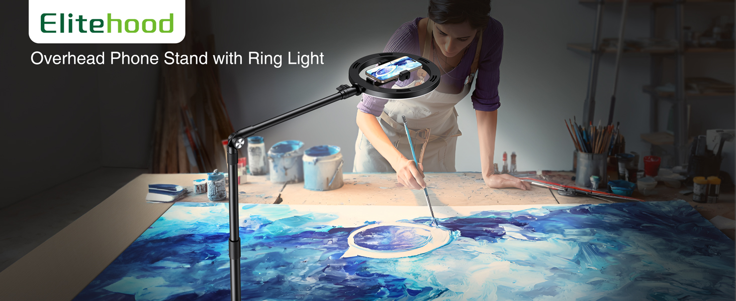 OVERHEAD PHONE MOUNT WITH LIGHT