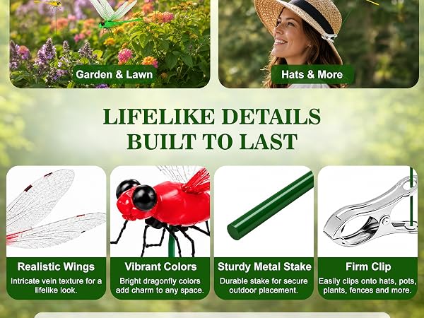 dragonflies to keep bugs away