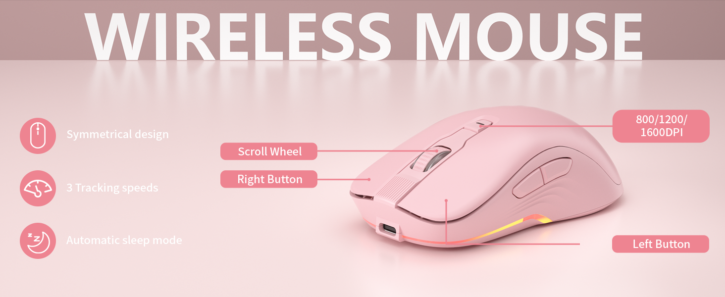 mouse