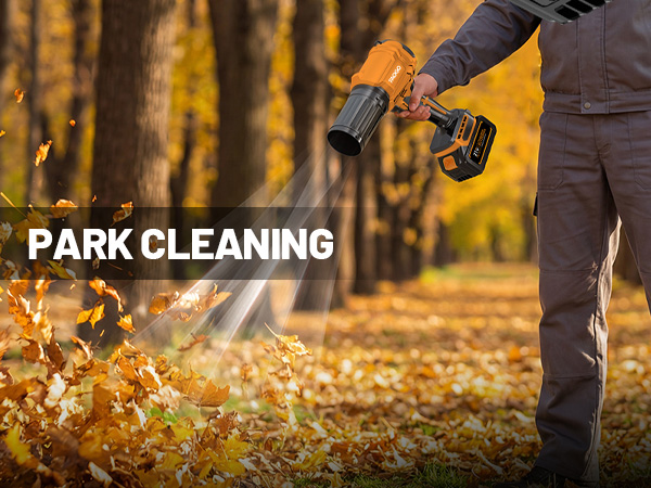 Cordless Leaf Blower