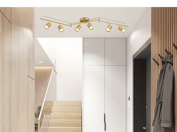 6 Ways Track Lighting Gold