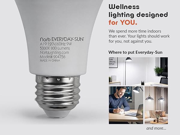 full spectrum light bulb led sunlight daylight bulbs home indoor lighting natural base dimmable
