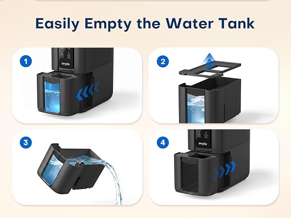 Dehumidifier
