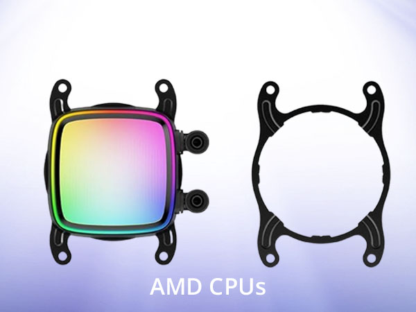 AMD