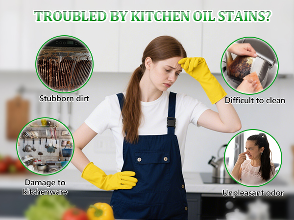 flycleanse kitchen cleaner