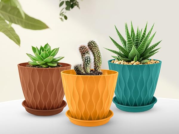 plant pot