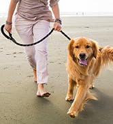 dog Leash for big dogs puppy leash rope