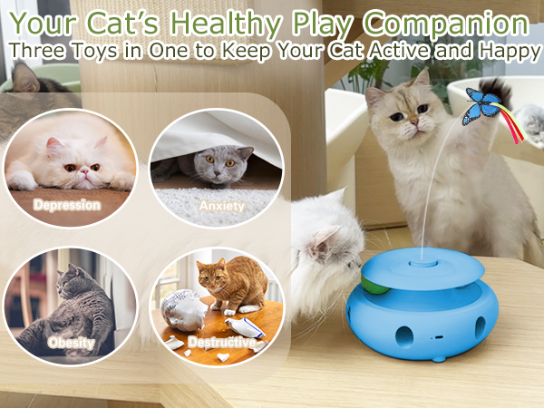cat toy