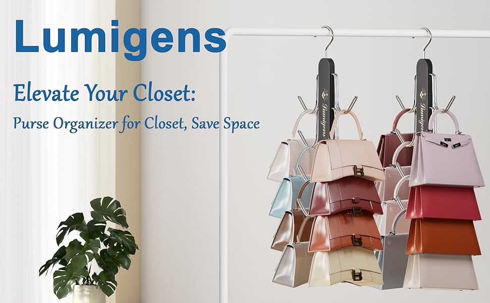 purse organizer for closet