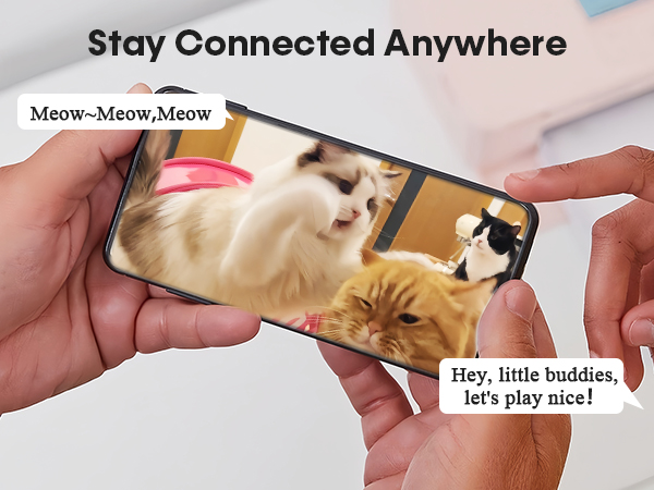 dog automatic feeder