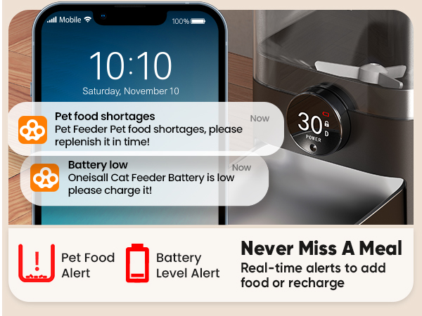 auto feeder cat food