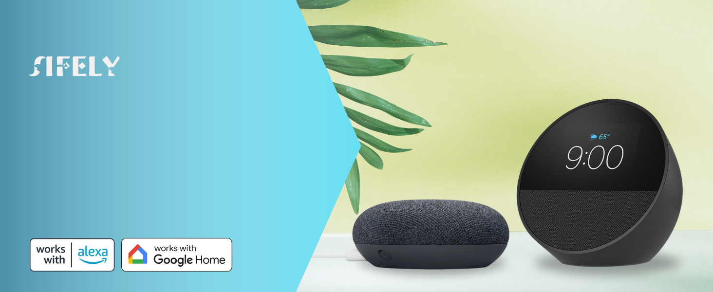 smart speaker alexa google home