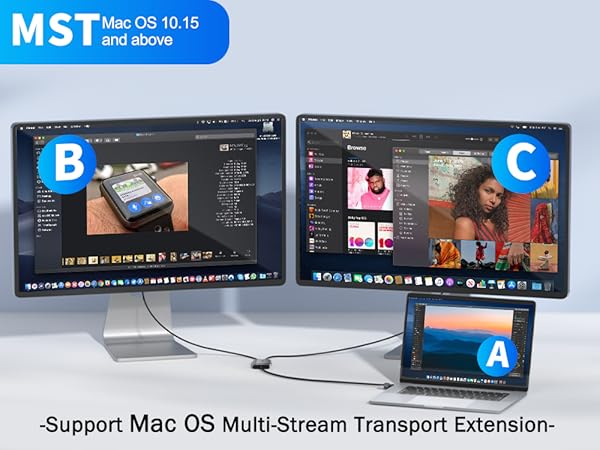 Multi-Stream Transport