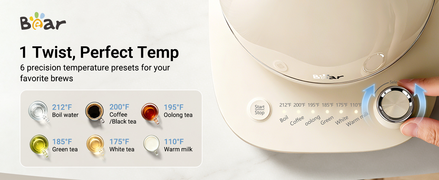 Bear electric kettle