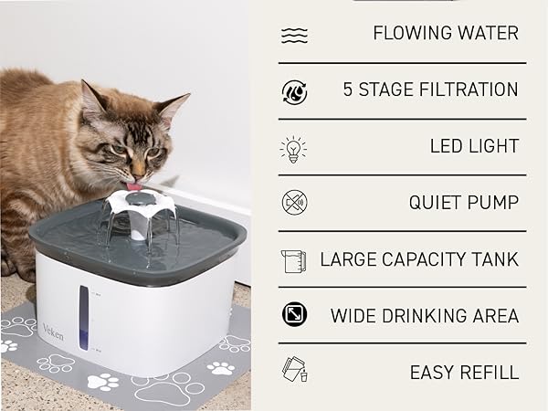 cat cat bowl cat it water fountain filters