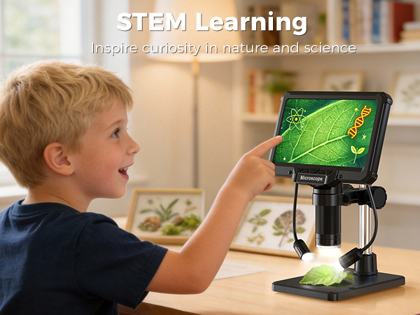 STEM Learning